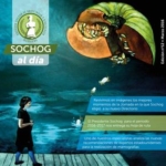 SOCHOG AL DÍA - Edición N° 12