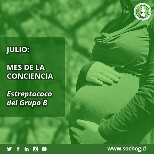 Julio es el mes de la conciencia del Estreptococo del Grupo B, una bacteria prácticamente inofensiva, presente en el 15% de las mujeres, pero que puede tener graves consecuencias durante el embarazo.