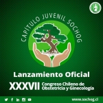 LANZAMIENTO CAPÍTULO JUVENIL