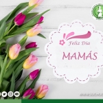 DÍA DE LA MAMÁ