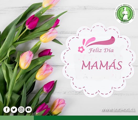 En este día tan especial, queremos saludar a todas las mujeres que son madre, y a las que también pronto lo serán.