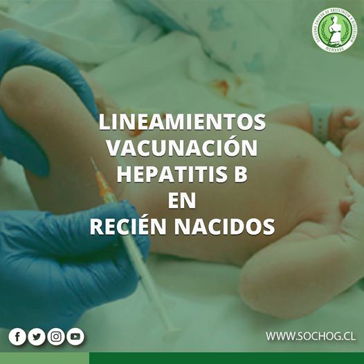 n el objetivo de proteger a la población de recién nacidos contra la Hepatitis B, el MISAL elaboró esta práctica guía para evitar nuevos casos en nuestro país.