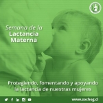 SEMANA DE LA LACTANCIA MATERNA