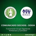 COMUNICADO SOBRE STGOVERDE