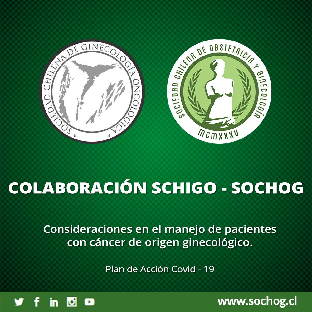 Miembros de la Sociedad Chilena de Ginecología Oncólogica junto a Sochog, elaboraron esta serie de recomendaciones a tener en cuenta durante el tratamiento a pacientes que sufran de cáncer oncológico.