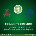 DOCUMENTO CONJUNTO