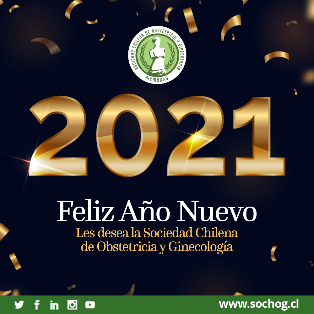 Feliz Año Nuevo les desea la Sociedad Chilena de Obstetricia y Ginecología
