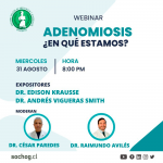 Webinar "Adenomiosis ¿En qué estamos?"