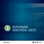 Actividades SOCHOG 2023