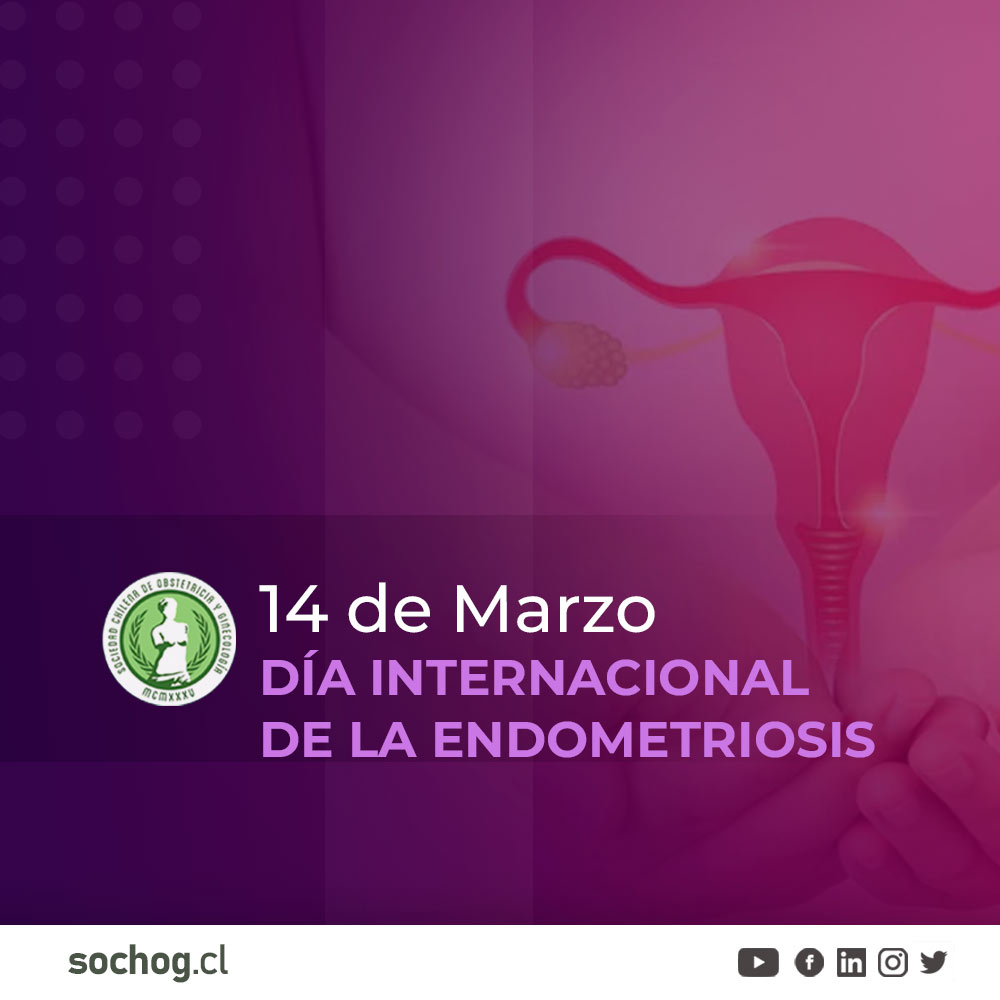 14 de marzo, Día internacional de la endometriosis
