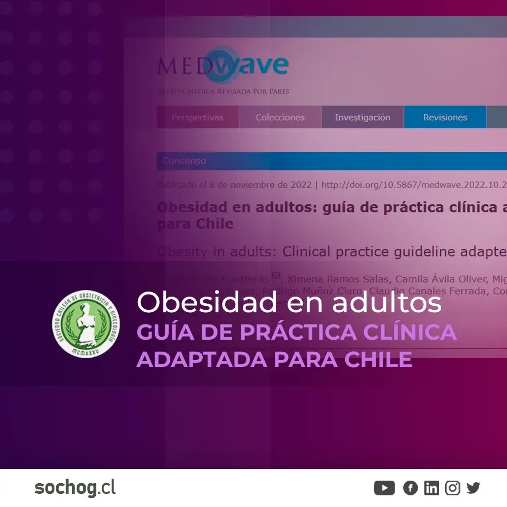 Obesidad en adultos: guía de práctica clínica adaptada para Chile
