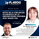 Webinar «Ecografía en el dolor pélvico»