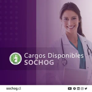 cargos-disponibles