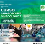 Curso Laparoscopía Ginecológica