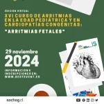 XVI Curso de arritmias en la edad pediátrica y en cardiopatías congénitas. Arritmias fetales.