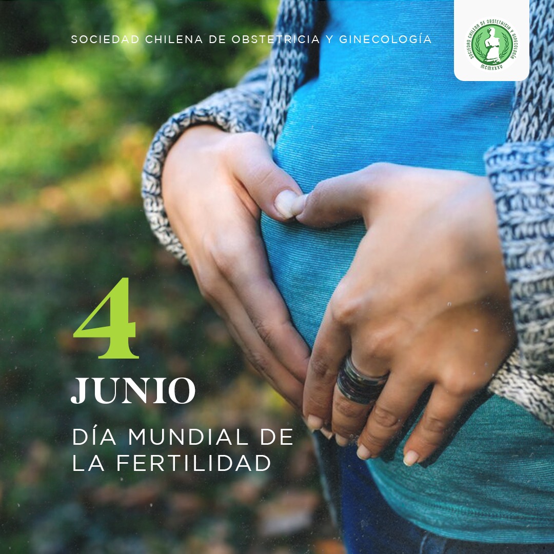 Imagen de WhatsApp 2025-06-04 a las 09.46.22_7e3eb4e6