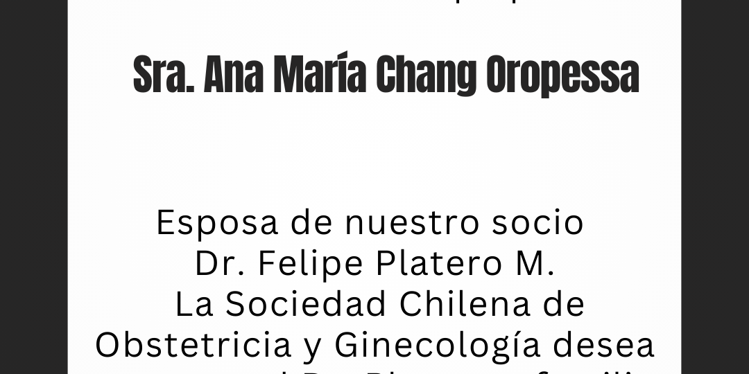 Feed RRSS Sochog (Tu historia)