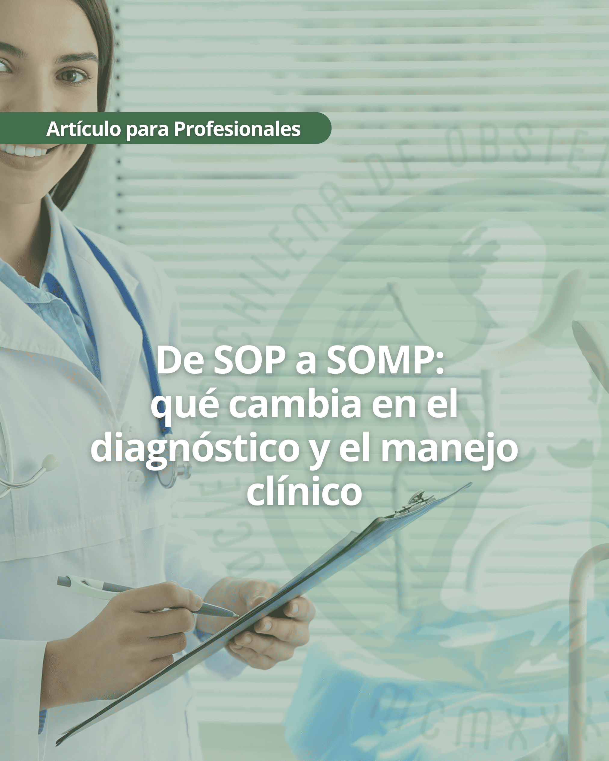 profesionales (1)
